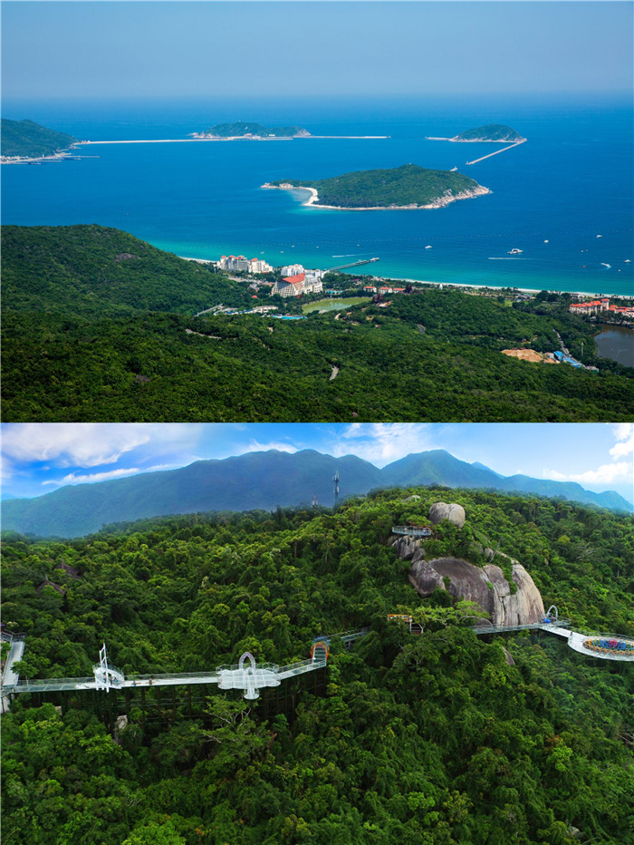 亚龙湾热带森林公园 亚龙湾热带森林公园